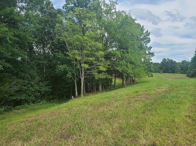 Image of 256 Terrapin Ridge Rd