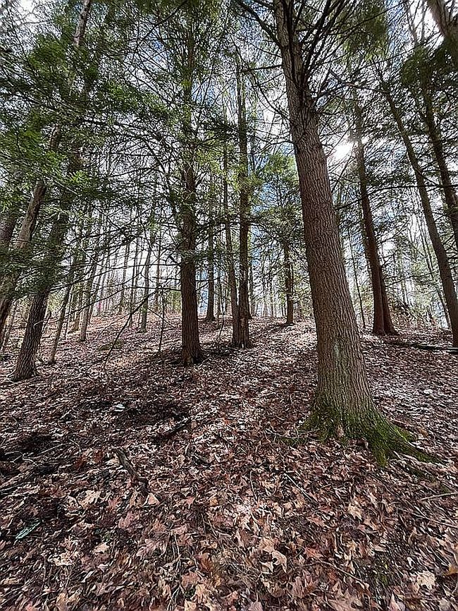 Photo of 143 Graham Farm Rd, Tionesta, PA