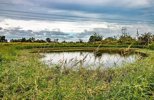 Image of 3412 S Pond Willow Ln