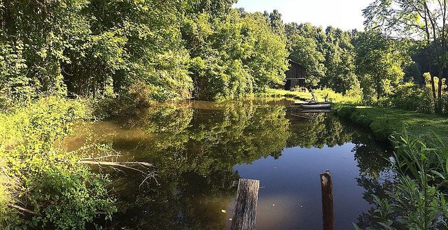 Image of 900 Rabbit Jarrell Hollow Rd