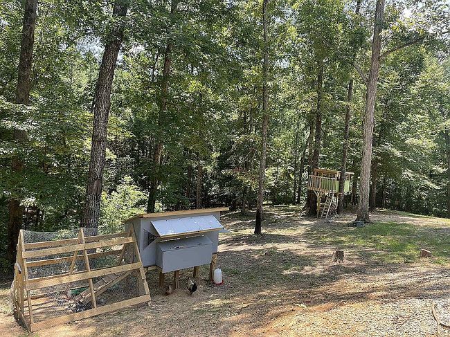 Photo of 717 Newell Rd, Red Bay, AL