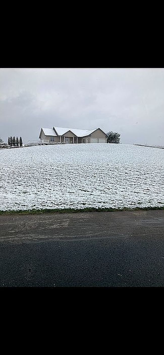 Image of 1541 Clearview Ln