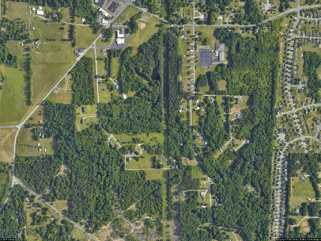 Photo of 2025 Tiger Eye Ct