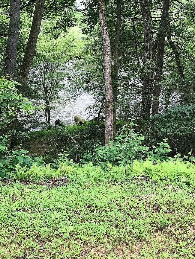 Photo of Novena Ct, Ellijay, GA