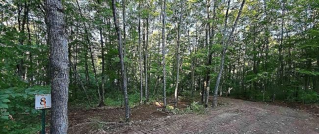 Photo of Smokey Lake Rd Lot 5, Iron River, MI