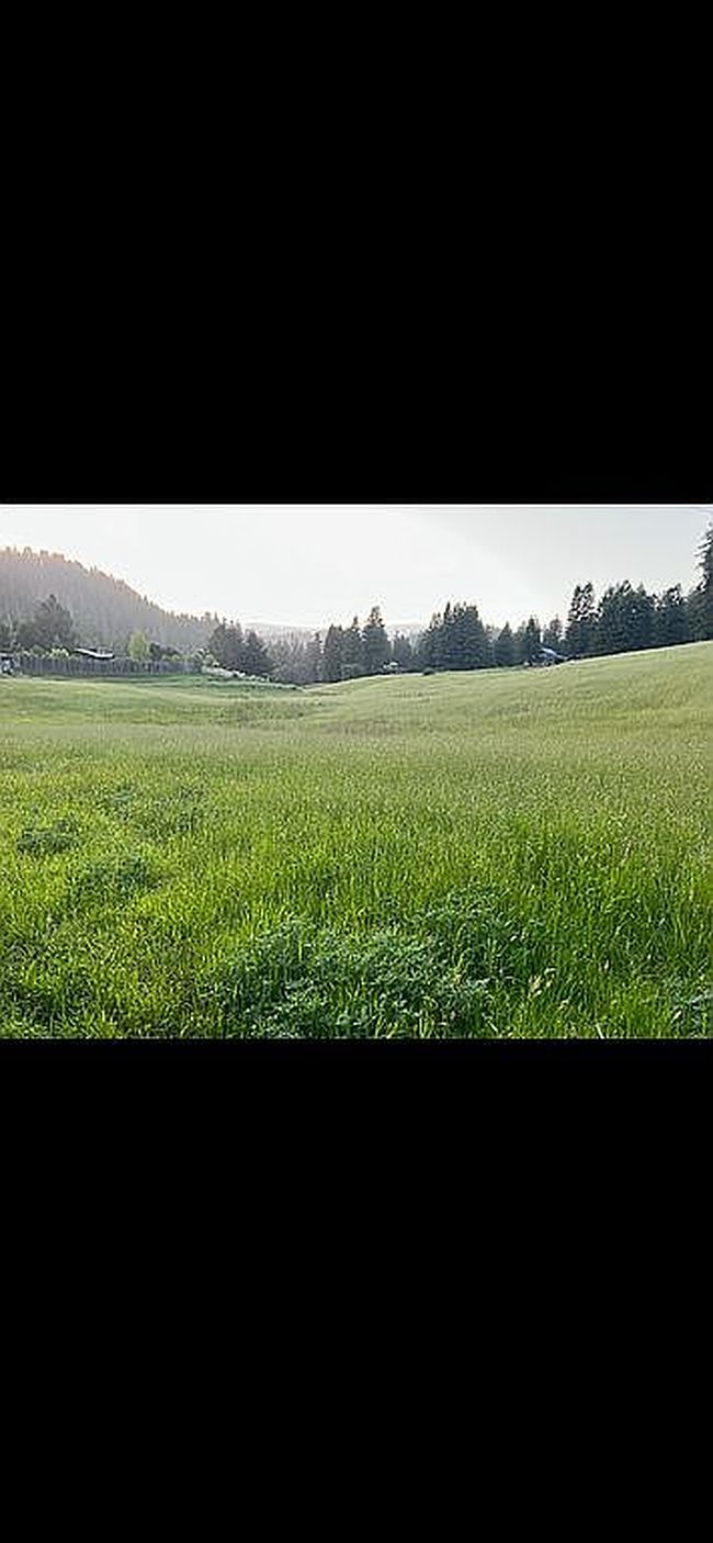 Image of 8475 Flynn Creek Rd