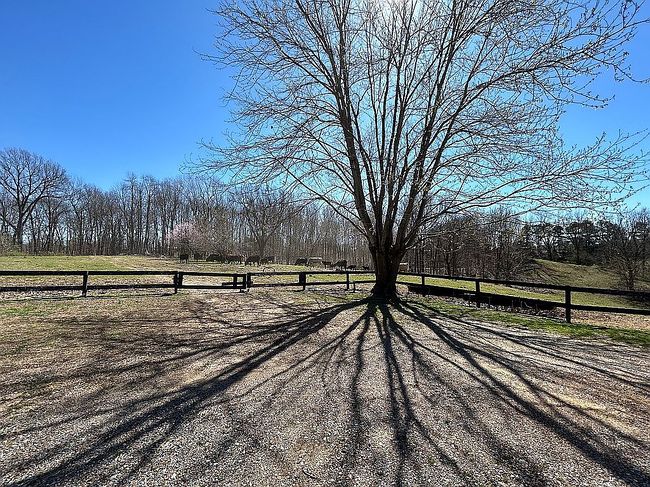 Image of 3478 Yates Rd