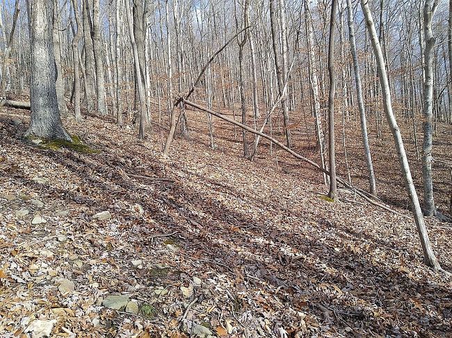 Photo of 4970 Rockwell Hollow Rd, Cookeville, TN