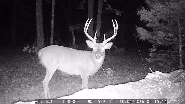 Image of 6030 Se 740 P Vt Rd