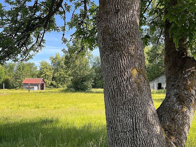 Photo of 40009 Highway 226, Scio, OR
