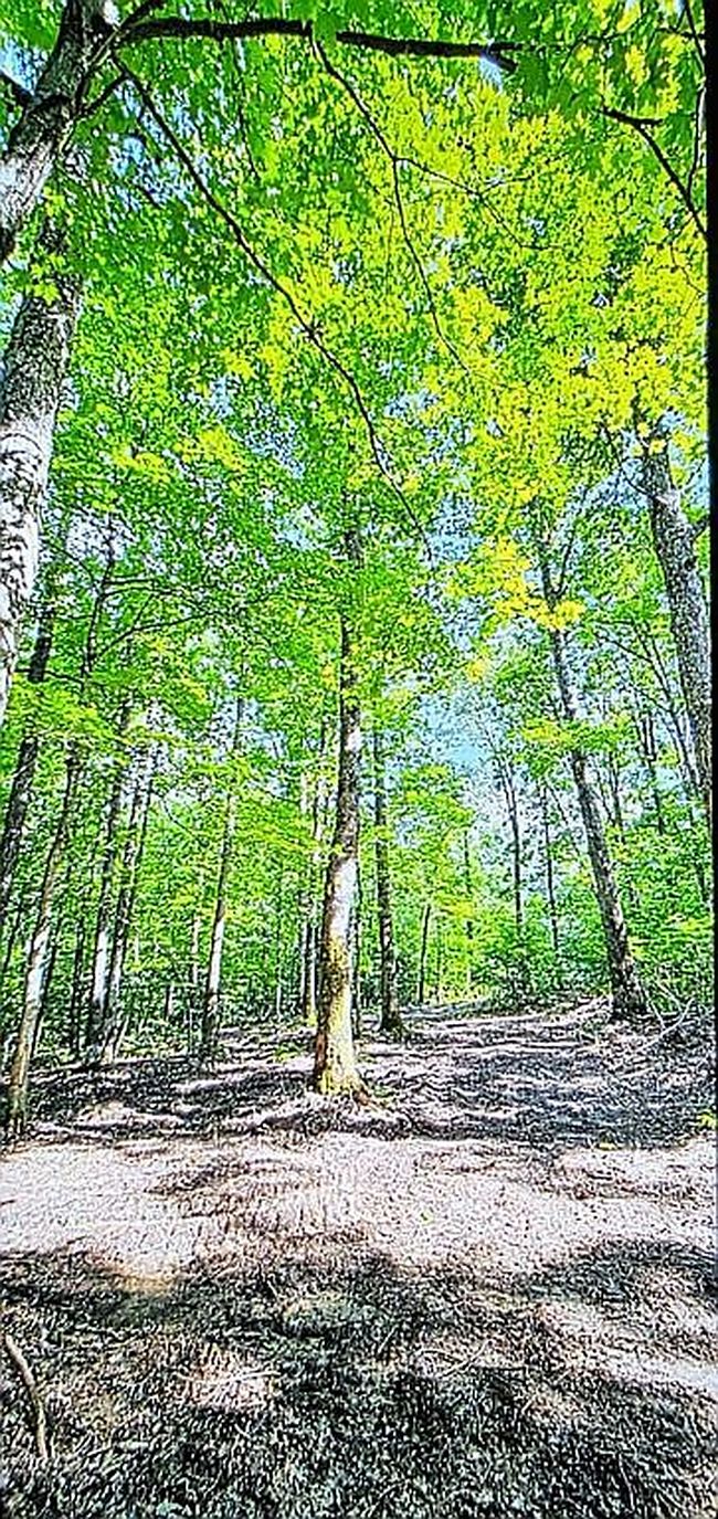 Photo of 10160 Fox Hvn, Blackwell, MO
