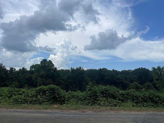Photo of 587 Ridge Rd, Sarah, MS