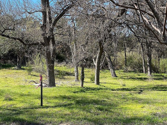 Image of 4640 Marlo Dr
