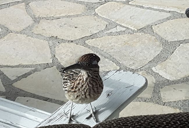 Additional photo 2 of property located at 39 Sanders Point Road