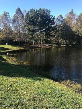 Image of 185 Monte Carlo Ct