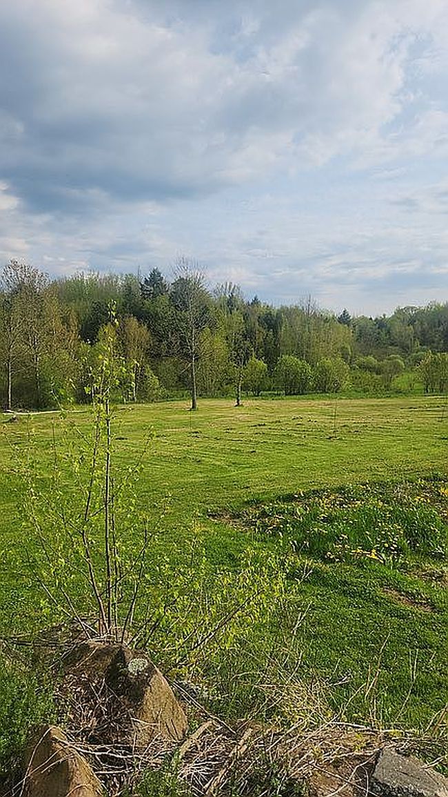 Image of 384 Dutton Rd