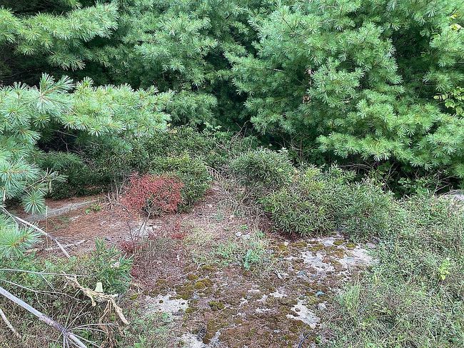 Photo of 110 Mount Meenagha Rd, Ellenville, NY