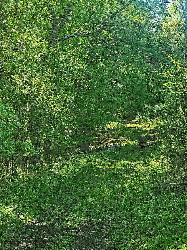 Image of 550 Deep Creek Rd