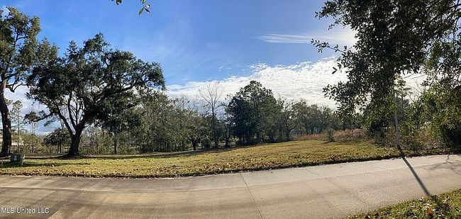 Image of 0 Savannah Estates Blvd #31