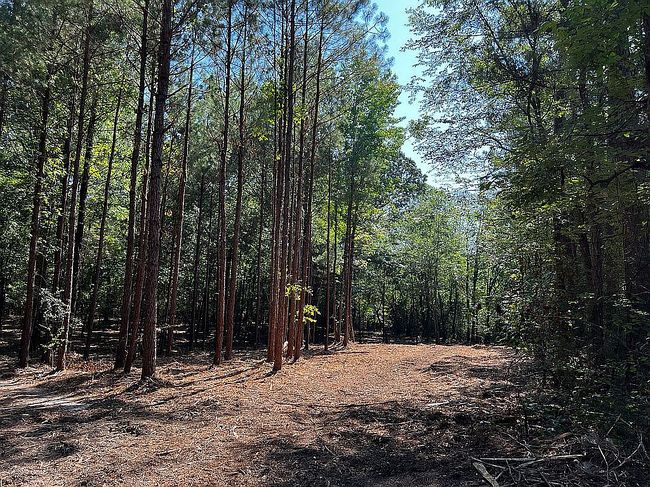 Photo of La Darr Rd, Little Rock, AR