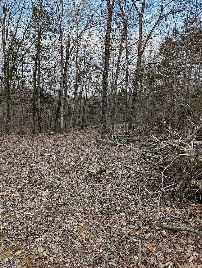 Image of 452 Eagle Point Loop