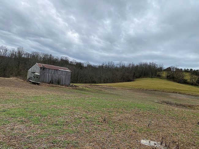 Photo of 3003 Tea Run Rd, Ewing, KY