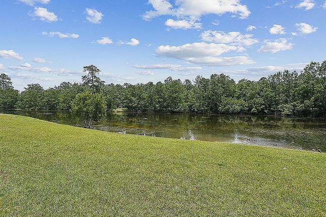 Photo of 30704 Wild Iris Way, Springfield, LA