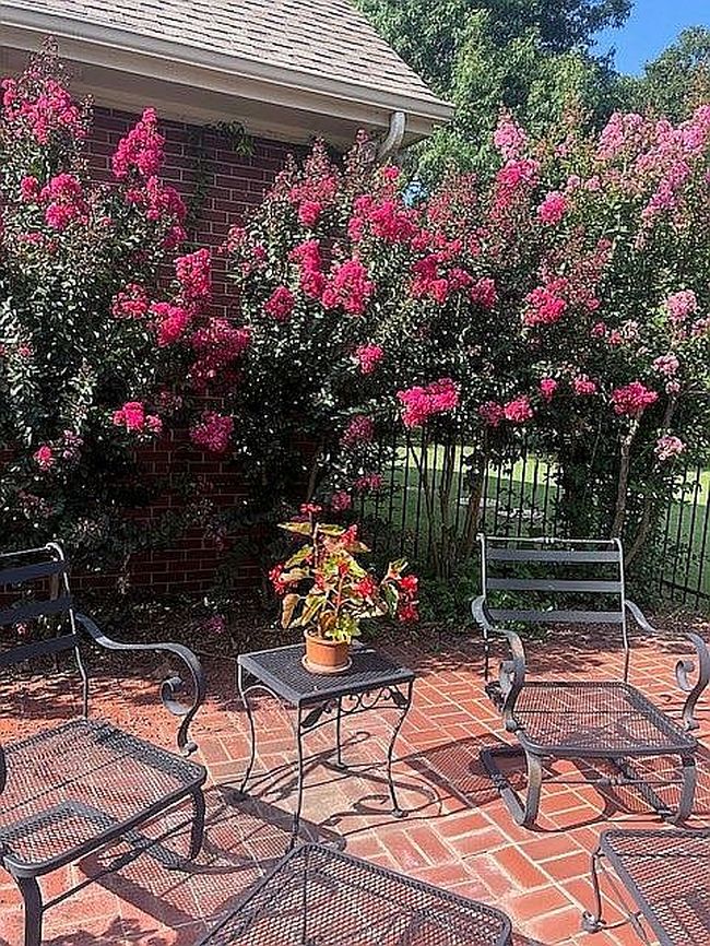 Image of 4 Beckman Rd
