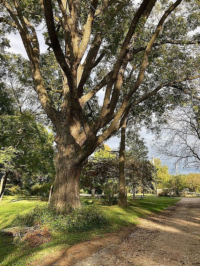 Photo of 1st St, Rocheport, MO