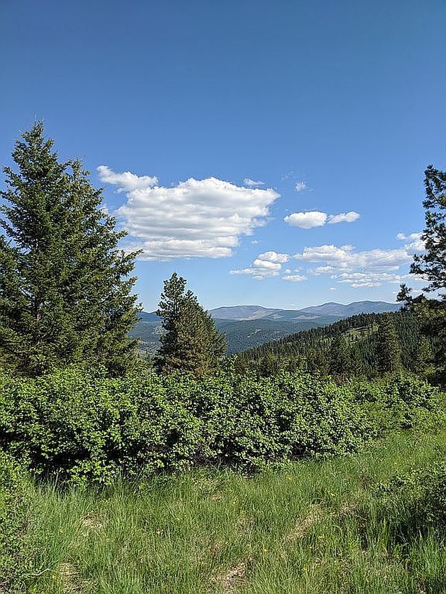 Image of 0 Lot Big Goosmus Creek Rd