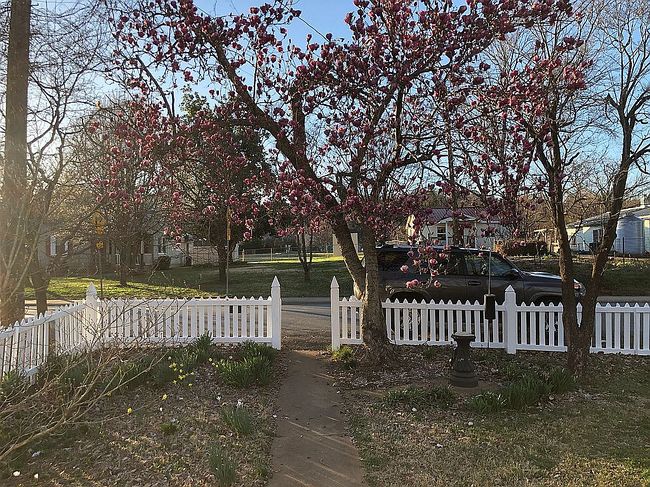 Additional photo 3 of property located at 914 Nassau St