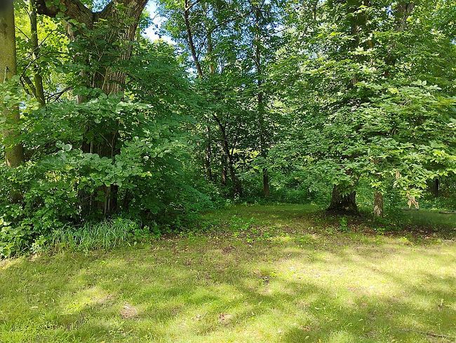 Photo of 44888 County Road 54, Ottertail, MN