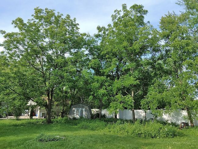 Photo of 6131 S Peck Ave, La Grange Highlands, IL