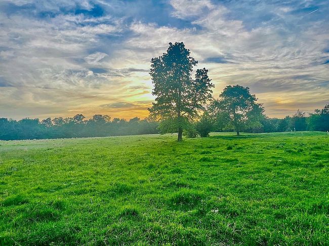 Photo of 0 County Road 2403, Winnsboro, TX