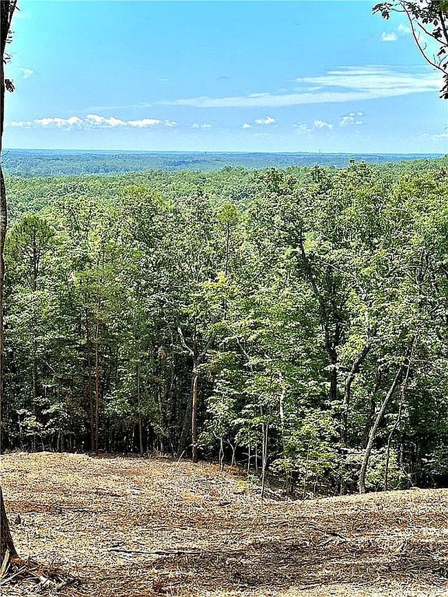 Image of 102 Long View Ct