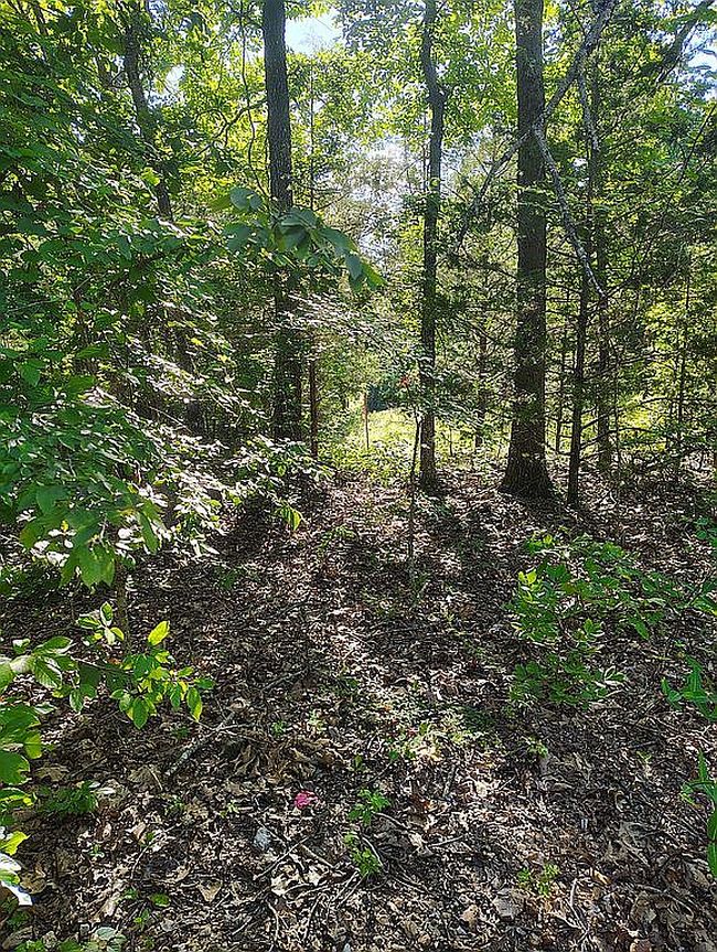 Photo of Capps Ln, Peel, AR