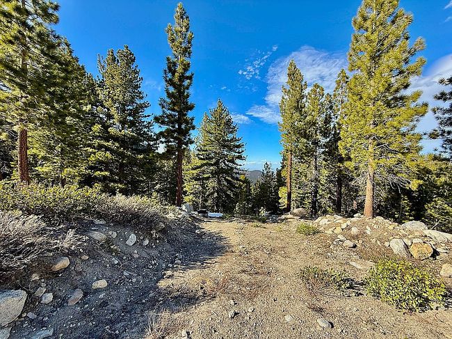 Image of 20600 Old Mount Rose Hwy