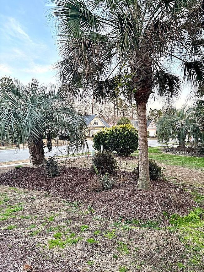 Image of 120 S Palm Dr