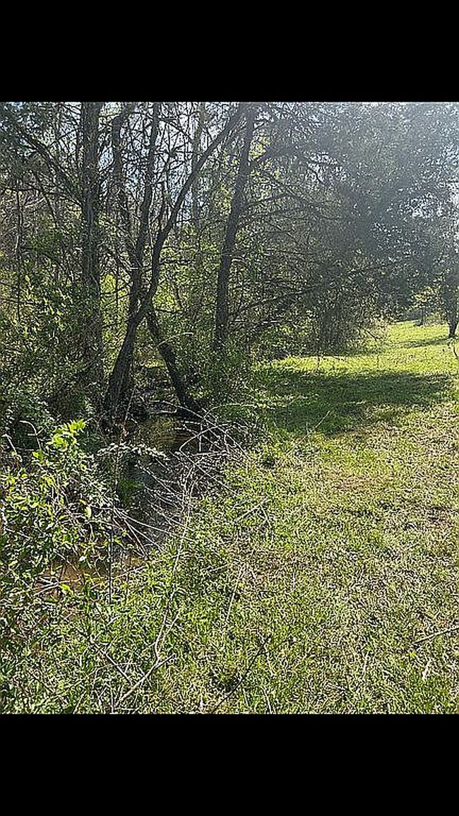 Image of 0 Shoreline Vis Lot 37