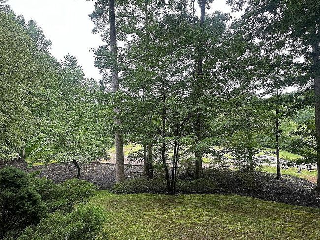 Photo of 113 Scarlet Oak Ln, Dawsonville, GA