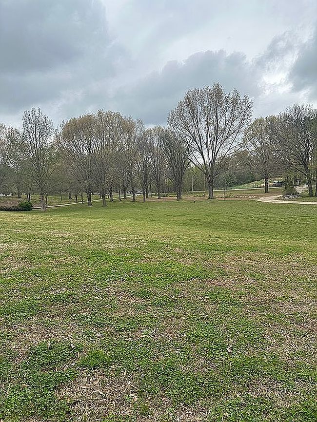 Image of 1591 Locke Rd