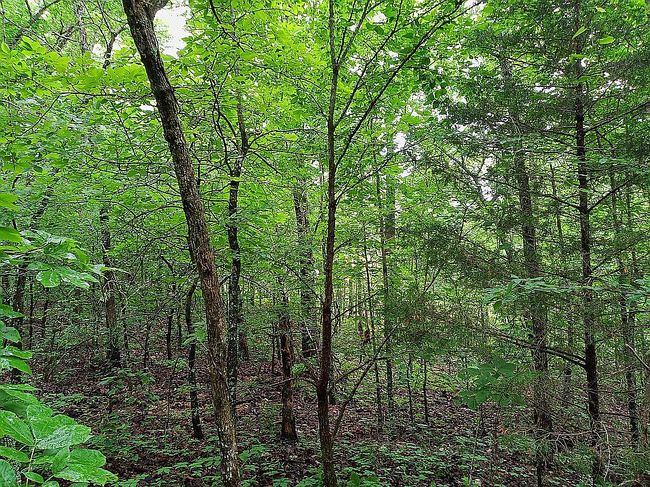 Image of 563 Indian Valley Trl