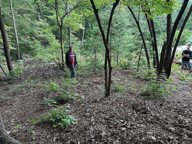 Photo of 25 W Keesler St, Black Mountain, NC