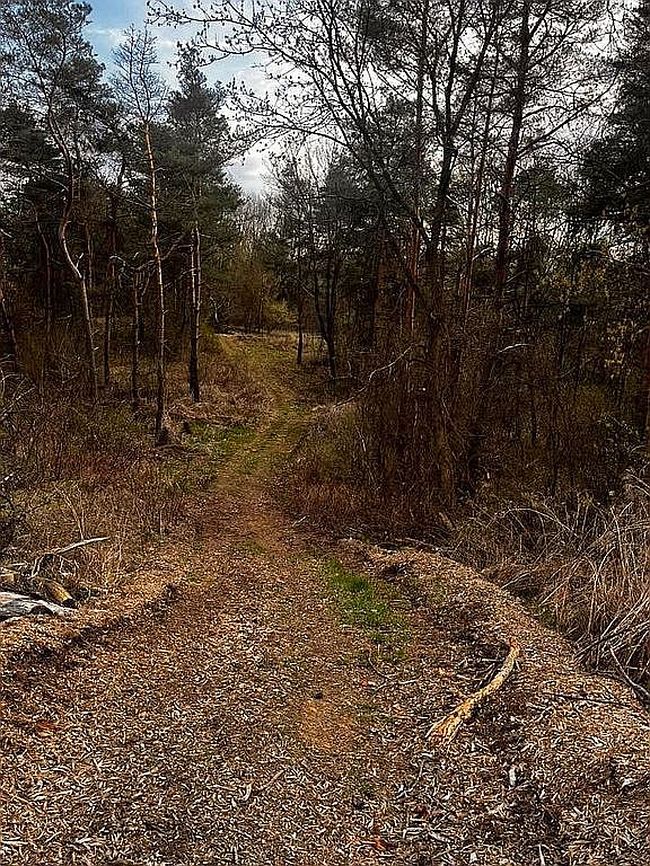 Image of 0 Clare Ln