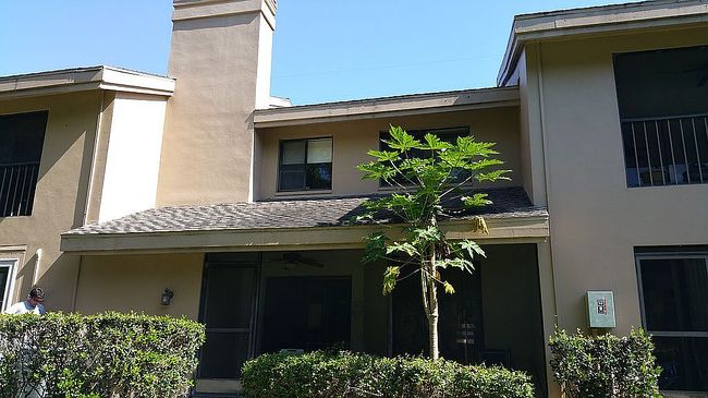 Image of 1704 Lake Cypress Dr