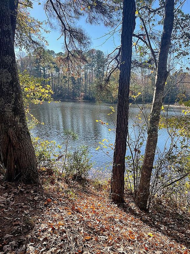Photo of 130 Sauder Way, Zebulon, NC