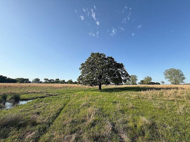 Image of 596 County Road 1153
