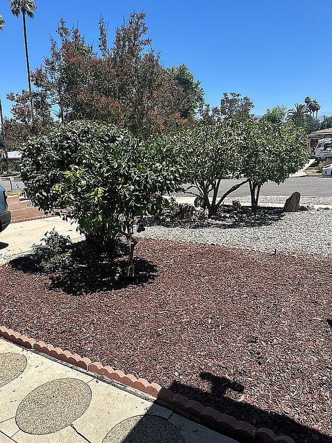 Photo of 24 W South Ave, Redlands, CA