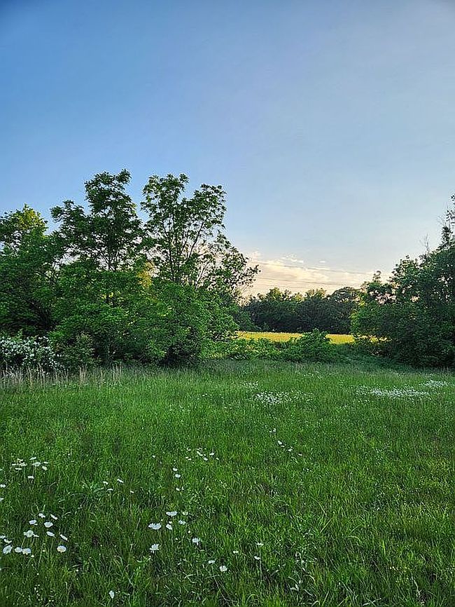 Photo of 12333 Nettle Dr, Neosho, MO