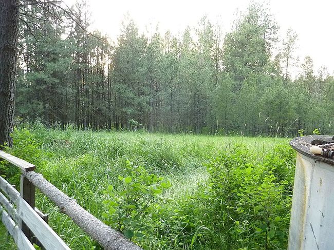 Image of 69443 Wickens Ln